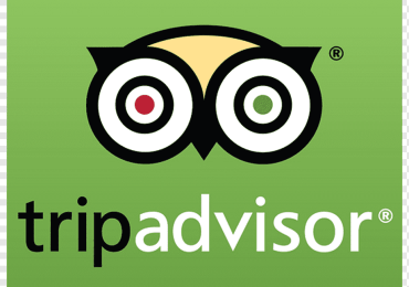 png-transparent-green-grass-owl-logo-baggage-tripadvisor-beak-bag-tag-travel-1